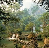 Cascades de Thi Lau Su Réserve Naturelle d'Umphang Thailande