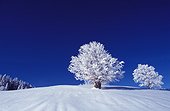Paysage sous la neige Alpes France
