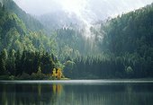 Lac de Bonlieu en atomne Jura France