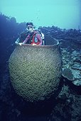 Eponge baril géante Iles Caymans Mer des Caraïbes