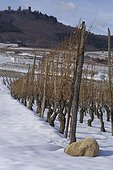 Vignobles d'Alsace sous la neige  ; Eguisheim et Huseren les Châteuax 
