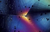 Cristal de bicarbonate de soude en microscopie