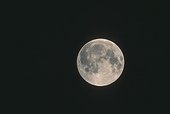 Début d'éclipse totale de Lune et premier contact de l'ombre ; Eclipse totale de Lune du 10/12/1992 (1/12) L'ombre de la Terre atteint de façon quasi imperceptible la surface de la Lune