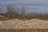 Restauration des murs en pierre d'une caselle (borie) France ; Aux environs de Livenon, Parc Régional des Caussses du Qercy (46) 