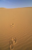 Traces in the sand of Rub Al Kali 