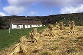 Bottes de foin et chaumière Irlande