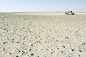 Safari vehicle stopped on a dry salted lake  Botswana