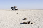 Safari vehicle on a Salted lake Botswana