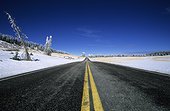 Road in Cedar Break national monument USA