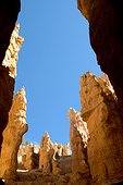 Fond d'un canyon dans le Parc National de Bryce Canyon