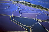Salt work of Aigues Mortes France ; Pink color appears when salt concentration is very high.