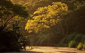 River Hluhluwe Umfolozi Park KwaZulu-Natal RSA