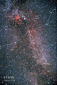 Constellation du Cygne mise en évidence et Voie Lactée ; Photomontage constellation du Cygne/carte. La constellation du Cygne culmine au zénih en Europe durant les nuits d'été. Traversée par la Voie Lactée, c'est une des belles constellation du ciel boréal. On distingue en haut à gauche l'étoile Deneb et la nébuleuse North America ( NGC 7000 ), et près du bord gauche de l'image les restes de supernova appelées "dentelles du Cygne". Cette image a été realisée au moyen d'un objectif de 50 mm.