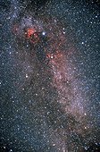 Constellation du Cygne et Voie Lactée dans le ciel d'été ; La constellation du Cygne culmine au zénih en Europe durant les nuits d'été. Traversée par la Voie Lactée, c'est une des belles constellation du ciel boréal. On distingue en haut à gauche l'étoile Deneb et la nébuleuse North America ( NGC 7000 ), et près du bord gauche de l'image les restes de supernova appelées "dentelles du Cygne". Cette image a été realisée au moyen d'un objectif de 50 mm.