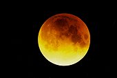 La Lune pendant la totalité d'une éclipse totale lunaire ; Eclipse lunaire du 21.01.2000. 4h33 T.U. Au début de la totalité. Le bord sud de la Lune, qui vient à peine de rentrer dans l'ombre, est encore très lumineux.