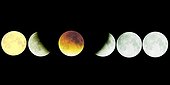 Progression of the Moon's umbra during an eclipse ; 21st Jan 2000 lunar eclipse.<br>This photomontage shows the Moon's progression in the umbra and penumbra of the Earth. The Moon moves from right to left. Exposure shows the brightest part of the Moon. This picture shows what one would obtain from following the rotation of the sky, as opposed to the Moon's movement. The position of each individual picture of the Moon has been calculated to obtain a scientifically precise summary of the phenomenon. The yellow color of the Moon on the last image is due to its low position in the sky at the end of the eclipse.