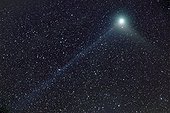 Machholz comet and its highly visible plasma tails ; Date: 9th Jan 2005<br> Subject: Comet C/2004 Q2 Machholz<br> That night, the plasma tail was very thin, almost straight.
