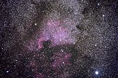 2 nébuleuses à émission visibles dans le ciel boréal d'été ; Situées près de l'étoile Deneb dans la constellation du Cygne. NGC7000 dite "Nord Amérique" et IC 5070 dite "Le Pélican"