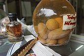 Dried Scolopendra and eggs of snake in a bottle  Viêt Nam