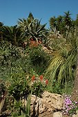 Mediterranean garden 