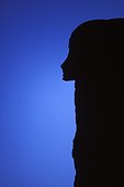 Block of stone in the shape of head of Egyptian god Utah  