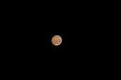 La planète Mars & sa zone Syrtis Major & sa calotte polaire ; La vaste étendue sombre de Syrtis Major est un gigantesque bouclier basaltique. <br>Site d'observation : Observatoire du Pic du Midi. <br>Image réalisée avec le télescope de 1 m de diamètre de l'observatoire. <br>Image unique, pas de compositage. 