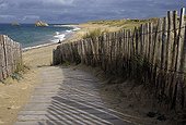 Protection des dunes sur l'île de Houat France 