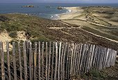 Protection des dunes sur l'île de Houat France 