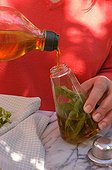 Conservation du basilic dans l'huile  ; Remplir la bouteille d'huile d'olives en recouvrant complètement les feuille
