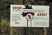 Prevention of the propagation of Moutain Pine Beetle Canada