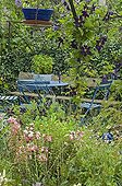 Mobilier de jardin bleu et Clématite 'Romantica'