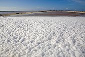 Overall picture on the Saltworks of Rio Lagartos Mexico ; Province of Yucatan.  <br>In the foreground, salt takes a cotton texture, Province of Yucatan.