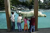 Children looking at a polar polar bear swimming Zoo France