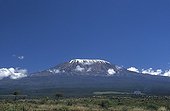 Kilimanjaro seen since the national park of Amboseli Kenya 