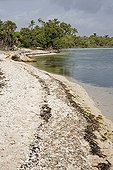 Tropical beach of the Caribbean Sea Mexico ; @ Province of Yucatan.<br>Biosphere Reserve of Sian Ka'an.