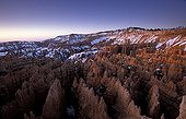 Mineral landscape of Bryce Canyon at twilight Utah