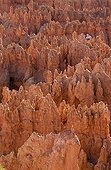 Eroded mineral landscape of Bryce Canyon Utah United States