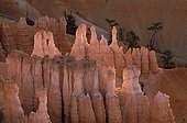 Eroded mineral landscape in Bryce Canyon Utah United States