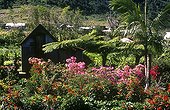 Tropical garden to Plaine des Grègues La Réunion