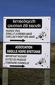 Panneau signalant la proximité d'un rucher Ile d'Ouessant  ; Reportage Abeille noire de Bretagne.