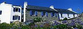Lampaul houses on Ouessant island in august Bretagne ; Report Honey bee of Bretagne.<br><br><br><br><br>