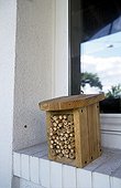 Bee nesting box on a windowsill