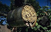 Home-made bee nesting box in a garden