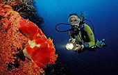 Diver woman and Spanish dancer bandasea Indonesia