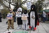 Campaigners in animal costumes London ; Protesting against global warming at Climate Change