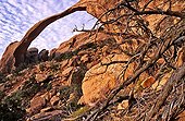 Sandstone arches of Landscape Arch in the PN Arches USA