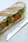 Sandwich Hero Moroccan with vegetables and spices