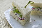Tea Sandwich with radish with mustard seeds France 