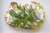 Bruschetta with anchovies and fresh goat's milk cheese France 