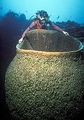 Diver and Barrel Sponge Caymans Islands Carribean